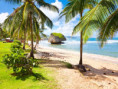 /album/fotky-barbados/barbados-jamajkanita-74-jpg/